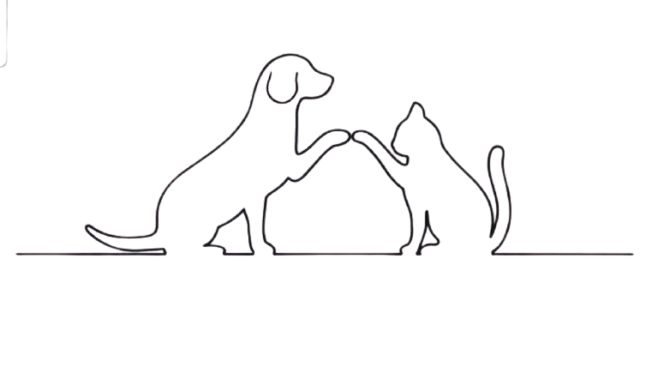 chien et chat illusation